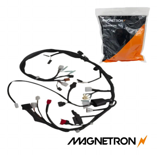 Fiação Chicote Elétrico Principal Magnetron Honda Cg 150 Titan 2009 Versão Esd