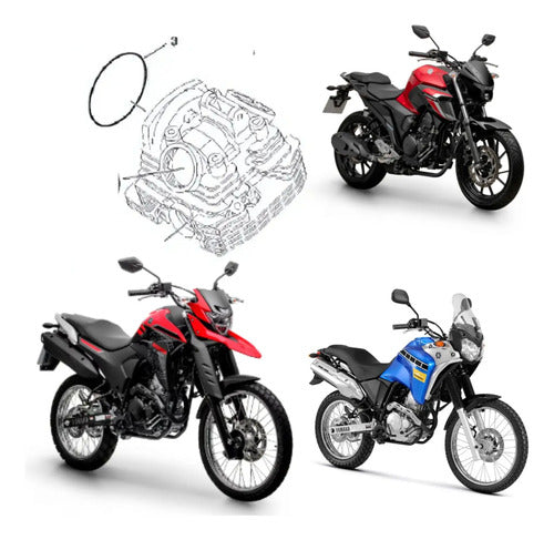 Anel de Vedação da Tampa da Corrente de Comando Yamaha Fazer Lander Ténéré 250