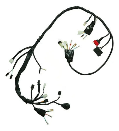 Fiação Chicote Elétrico Principal Magnetron Honda Bros 150 2006 a 2008 Versão Esd