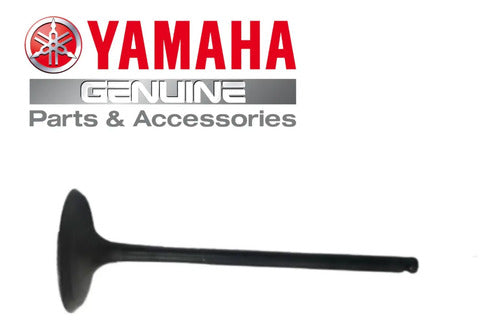 Válvula de Escape Yamaha Fazer Crosser 150 2014 a 2025 Factor 150 2016 a 2024