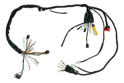 Fiação Chicote Elétrico Principal Magnetron Honda Cg 125 Titan 2002 a 2004 Partida Elétrica