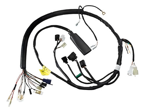 Fiação Chicote Elétrico Principal Magnetron Yamaha Factor 125 2014 a 2015 Versão Ed