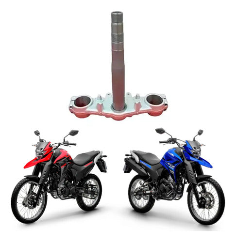 Mesa Inferior Yamaha Lander 250 2018 em diante