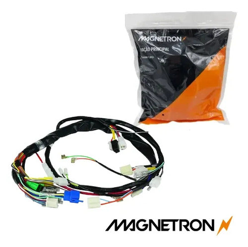 Fiação Chicote Elétrico Principal Magnetron Suzuki Intruder 125 Cargo 2004 a 2007