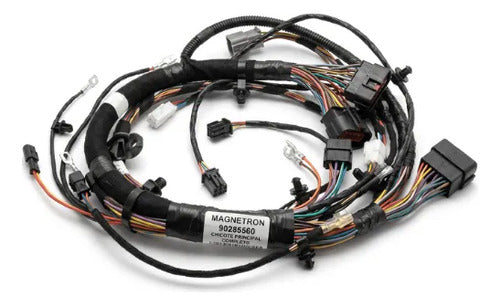 Fiação Chicote Elétrico Principal Magnetron Honda Cg 125 Fan 2009 a 2011 Partida a Pedal