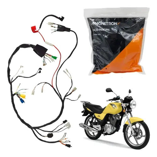 Fiação Chicote Elétrico Principal Magnetron Suzuki Yes 125 2007