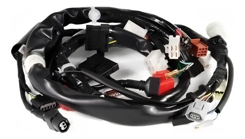Fiação Chicote Elétrico Principal Magnetron Honda Nx 400 Falcon 2006 a 2007