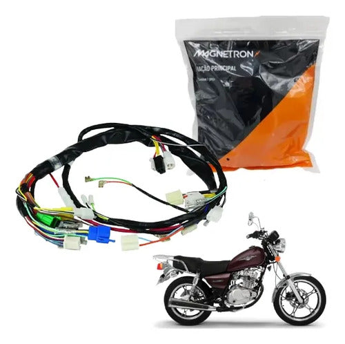 Fiação Chicote Elétrico Principal Magnetron Suzuki Intruder 125 Cargo 2004 a 2007