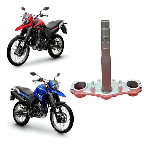 Mesa Inferior Yamaha Lander 250 2018 em diante