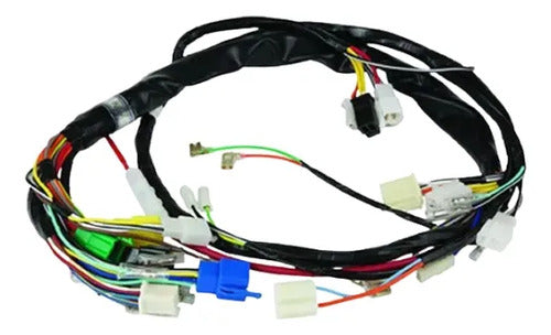 Fiação Chicote Elétrico Principal Magnetron Suzuki Intruder 125 Cargo 2004 a 2007