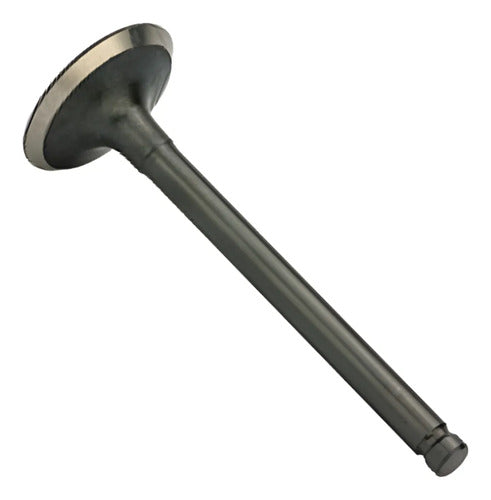 Válvula de Admissão Iron Shineray Jet 50 125