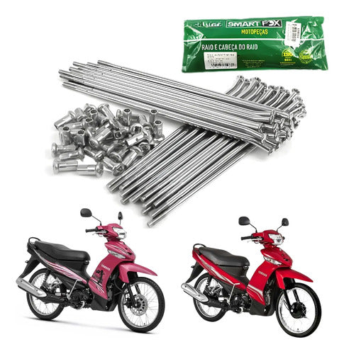 Jogo de Raios Traseiro Smartfox Yamaha Crypton 115 2009 a 2013 3,5 mm Cromado