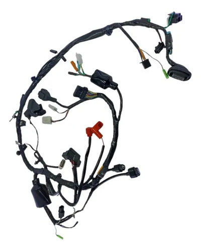 Fiação Chicote Elétrico Principal Magnetron Honda Cg 125 Fan Cargo 2016 em diante