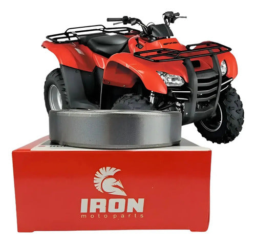 Rolamento do Virabrequim Iron Honda Trx 420 Fourtrax 2008 a 2013
