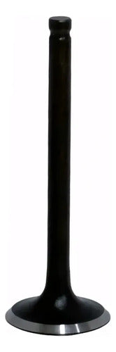 Válvula de Admissão Iron Shineray Jet 50 125