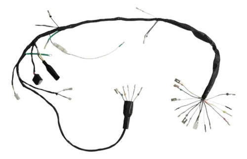 Fiação Chicote Elétrico Principal Magnetron Honda Cg 125 1982 a 1984