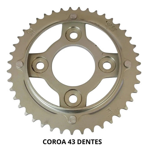 Kit Relação Smartfox com Retentor Honda Cg 125 Fan 2009 a 2013 428OH 116L 43/14T
